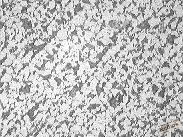 20100417090201_010_811_811.jpg