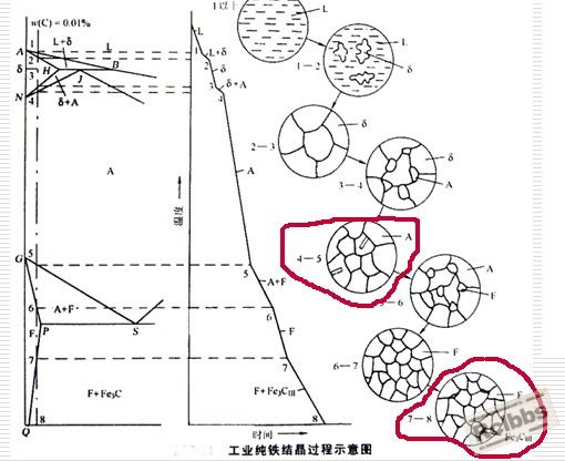 纯铁结晶示意图.JPG
