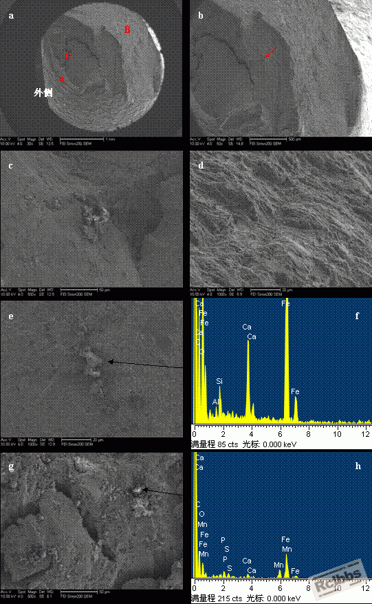 clip_image009.gif