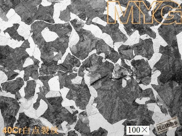 40cr白点裂纹2.jpg