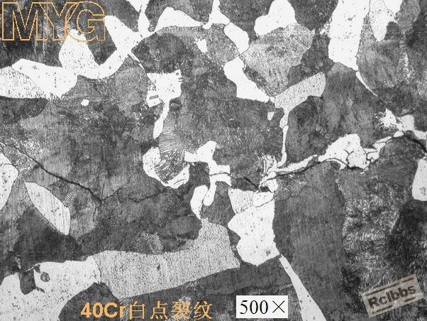 40cr白点裂纹1.jpg