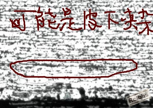 未命名.JPG