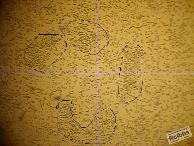 球化退火1000（A）.JPG