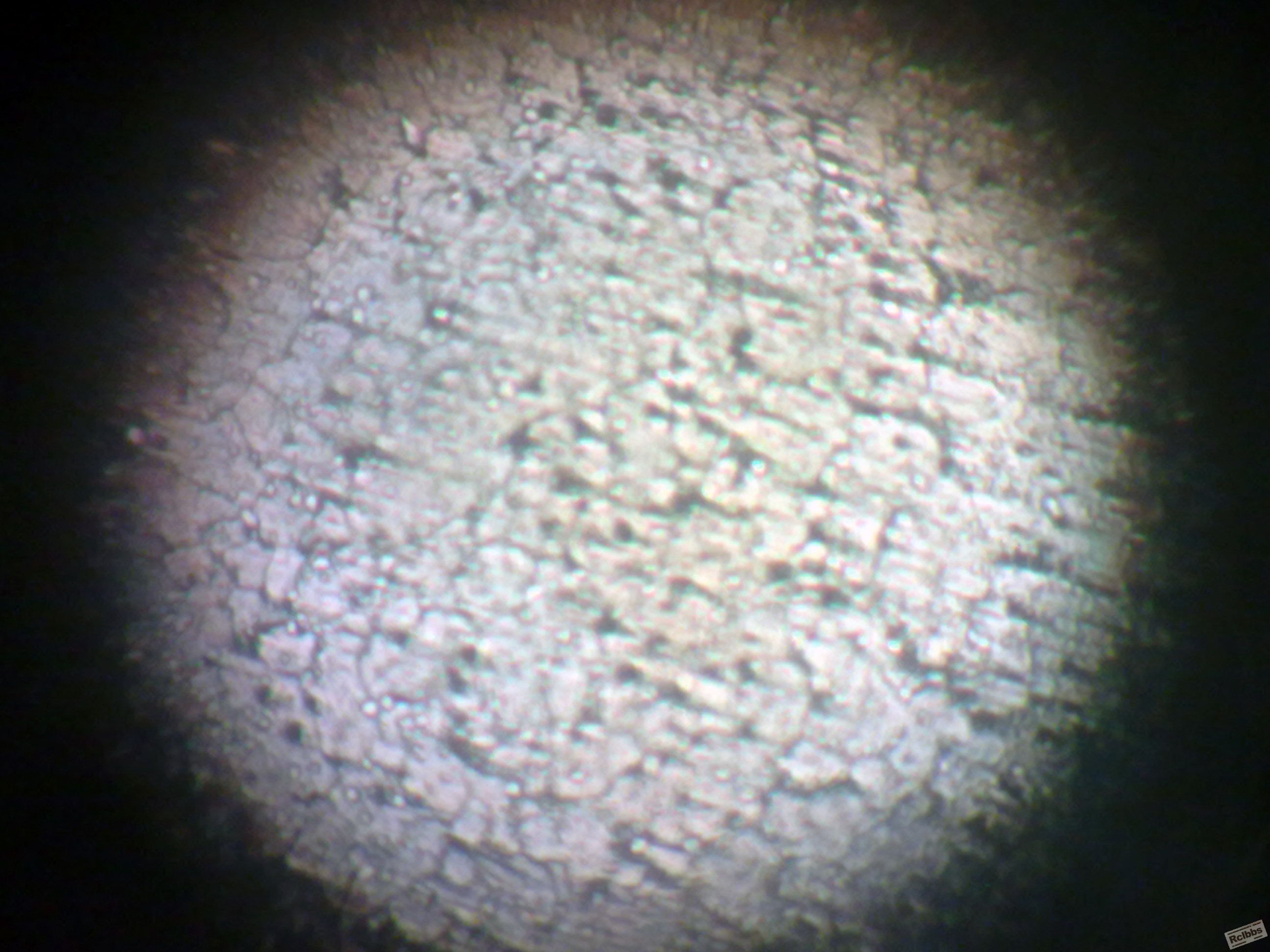 20100513022.jpg