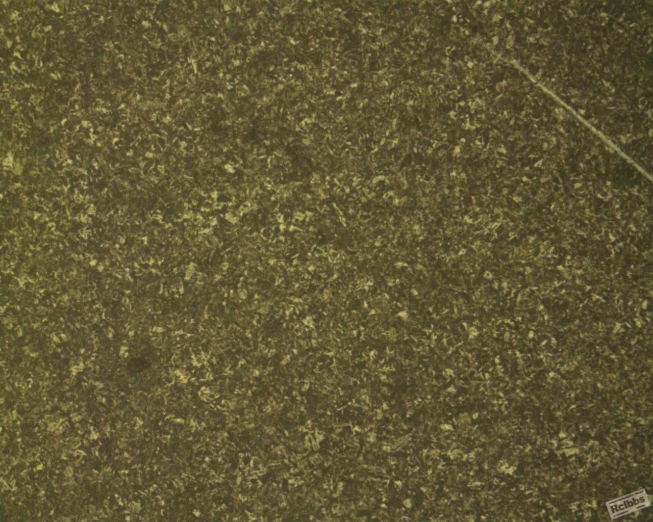 200X_2.jpg