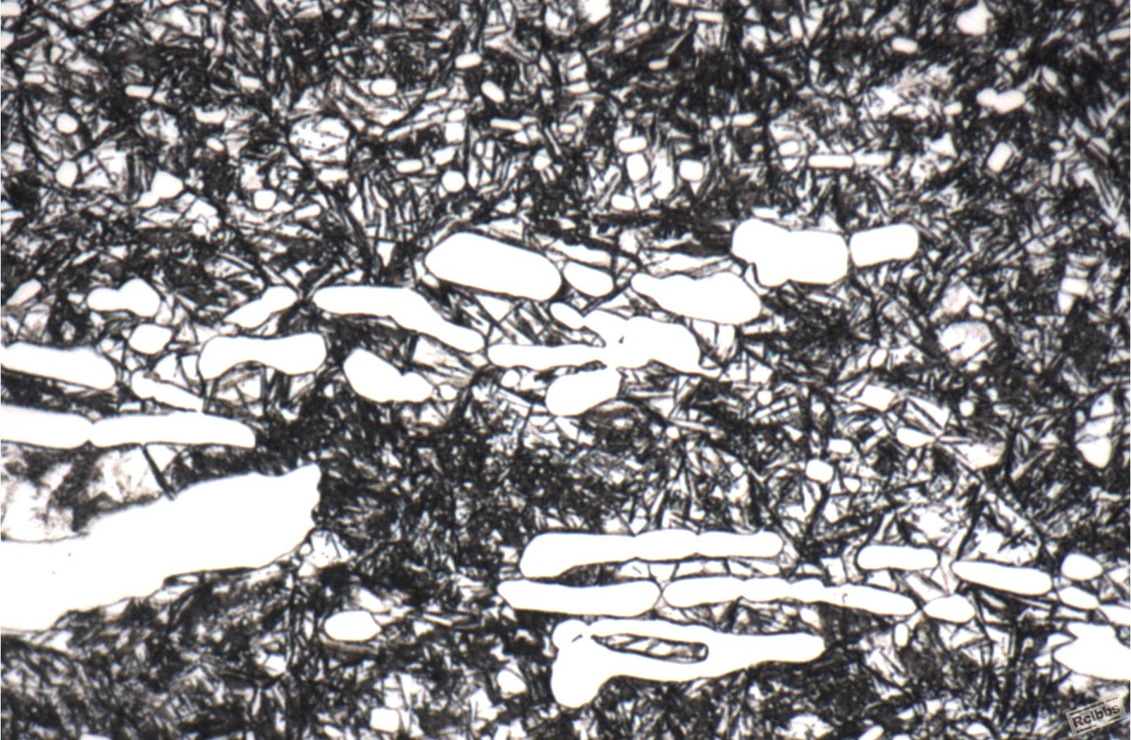 100×03.jpg
