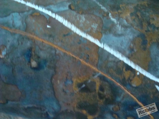 DSC08080.JPG