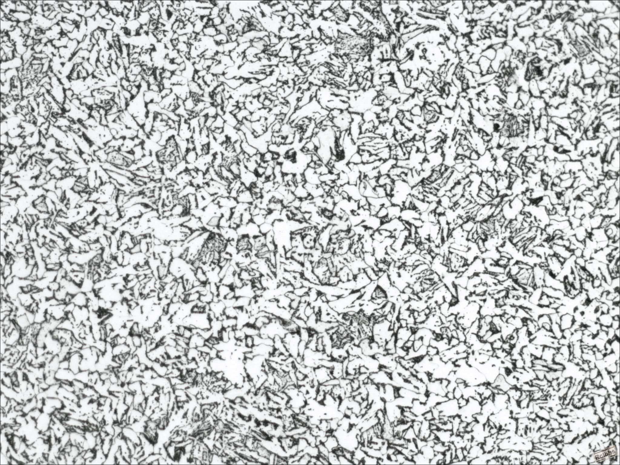 图1 100X