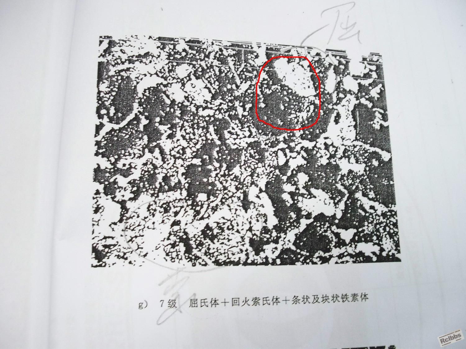 100_1827.JPG