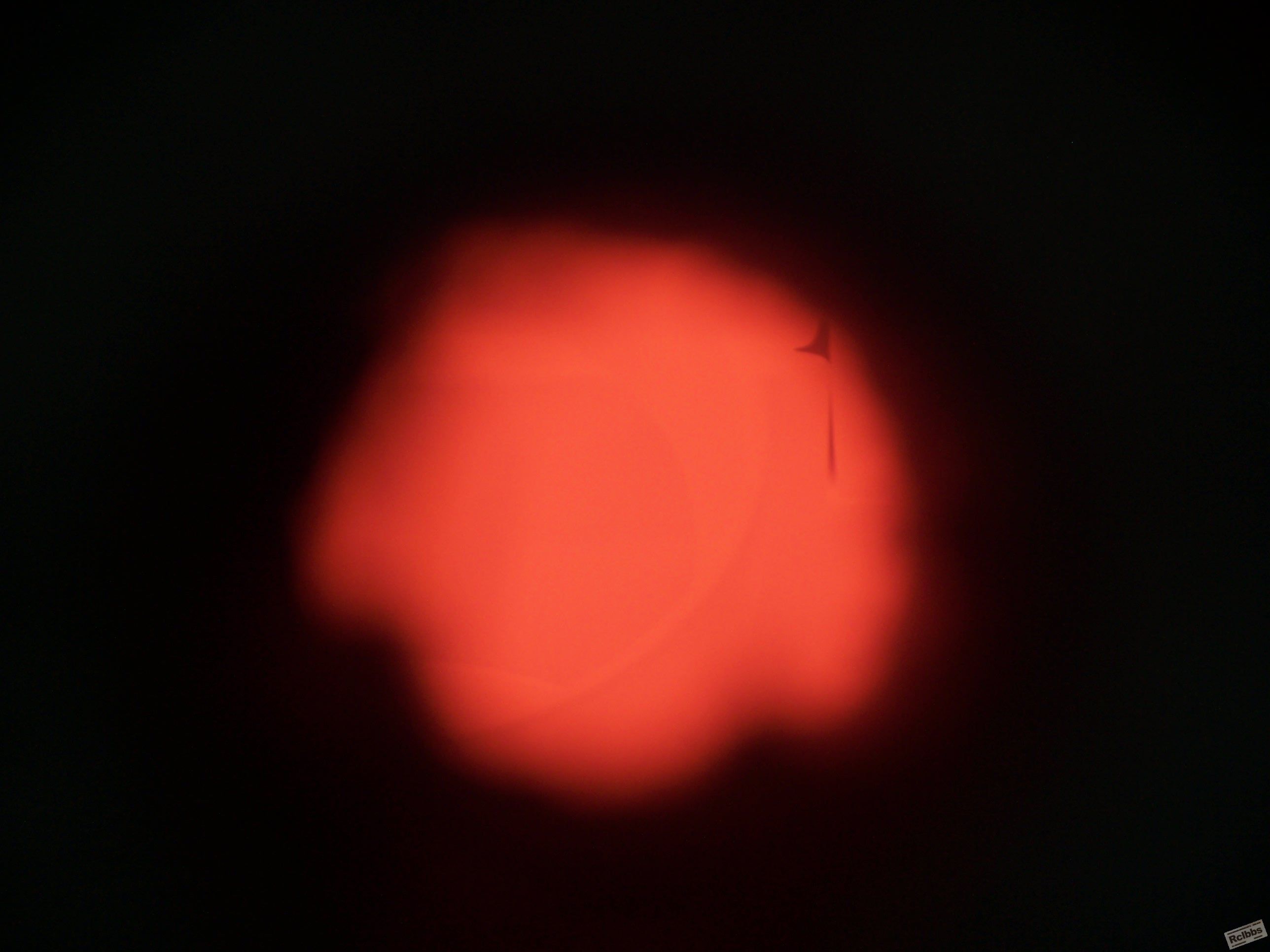 100_2043.JPG
