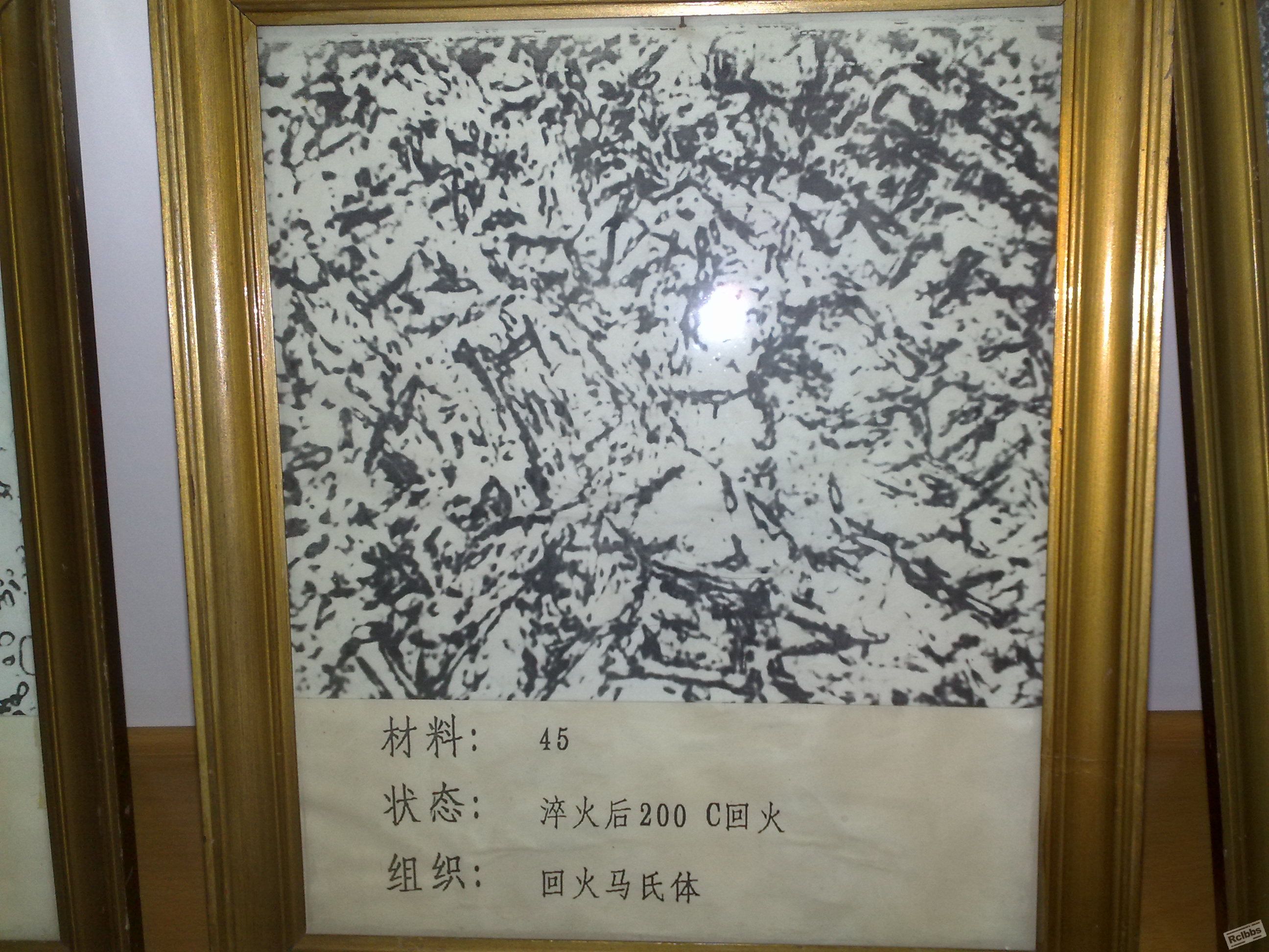 20100601289.jpg