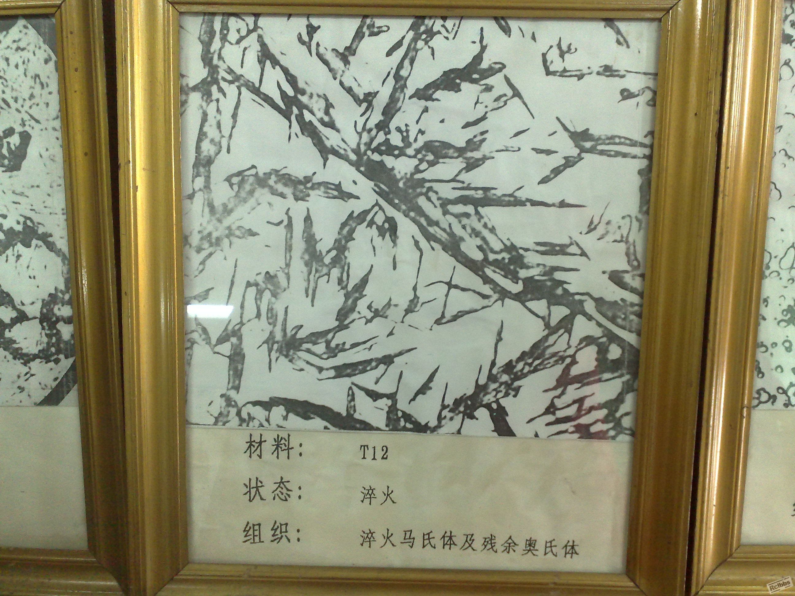 20100601290.jpg
