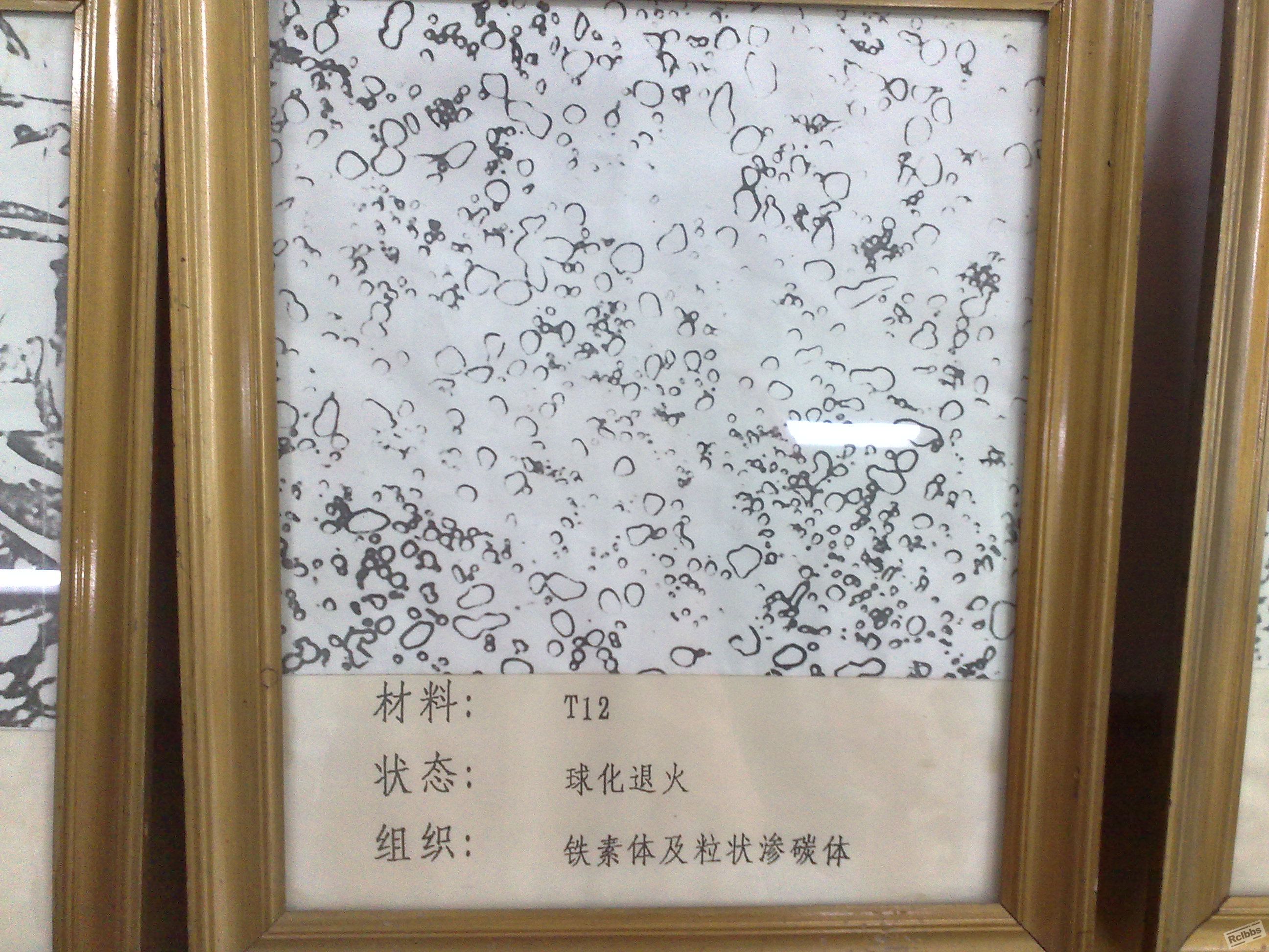 20100601291.jpg