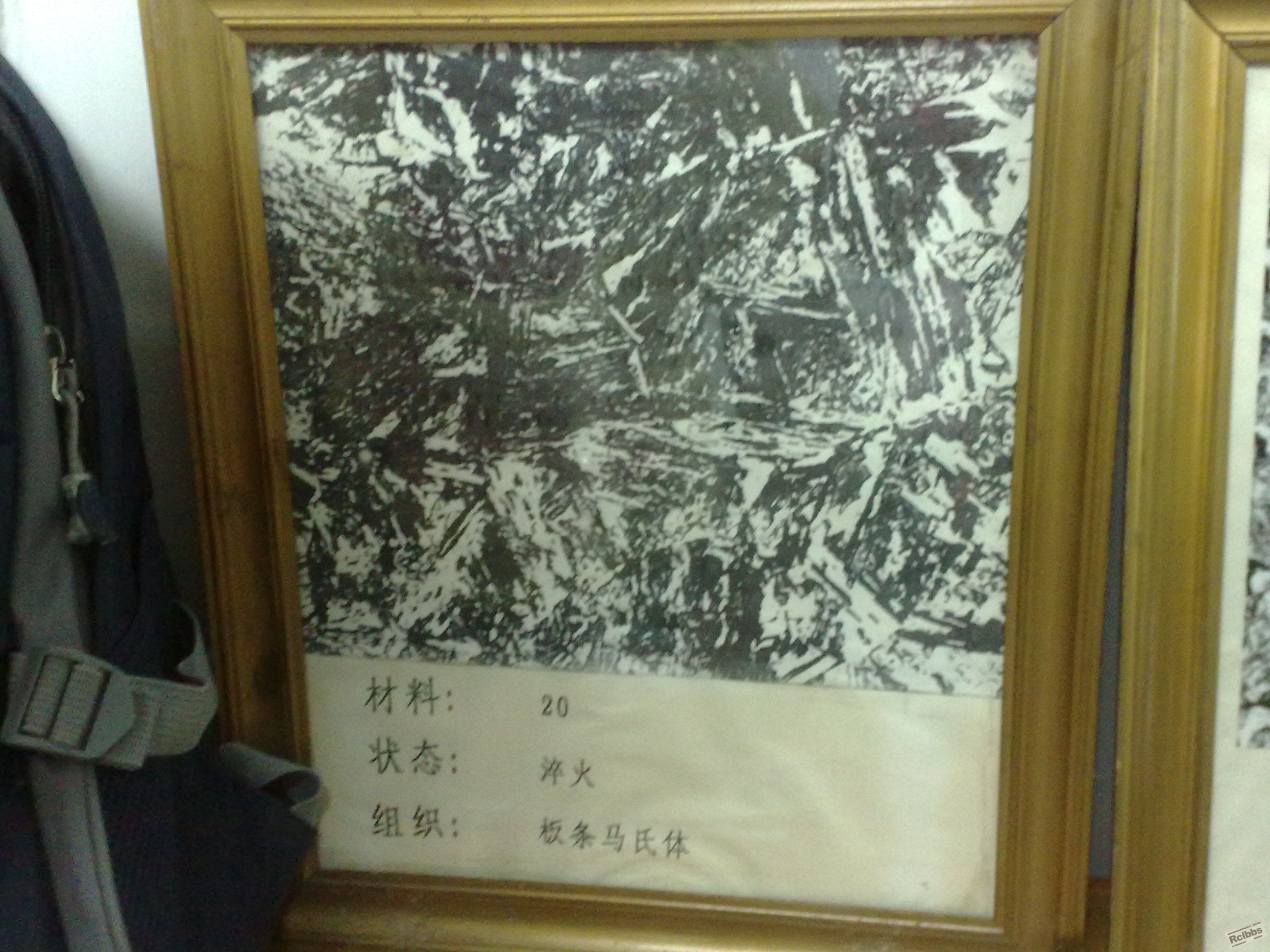 20100601294.jpg