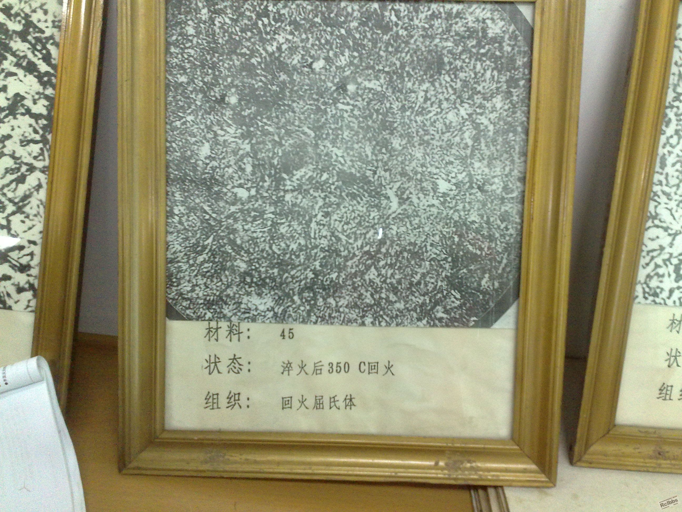 20100601295.jpg