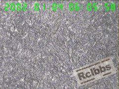 400X横截面表层组织,回火S,1级,.jpg
