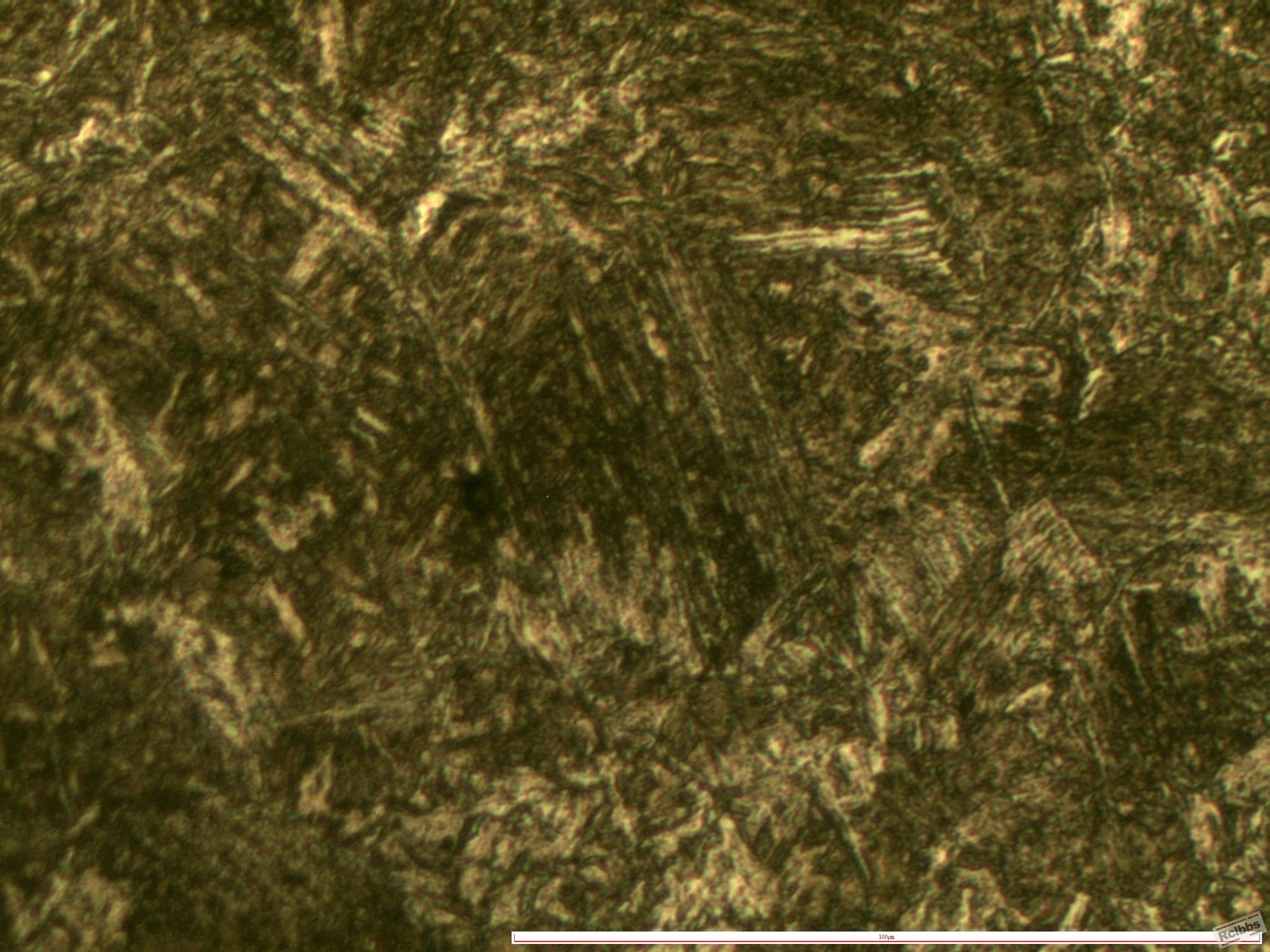 035-1_conew2.jpg