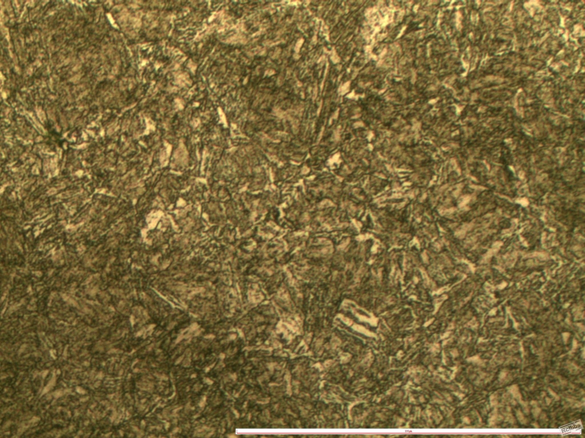 035-7_conew1.jpg