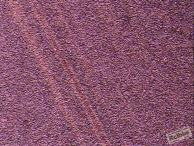 条纹100X.JPG