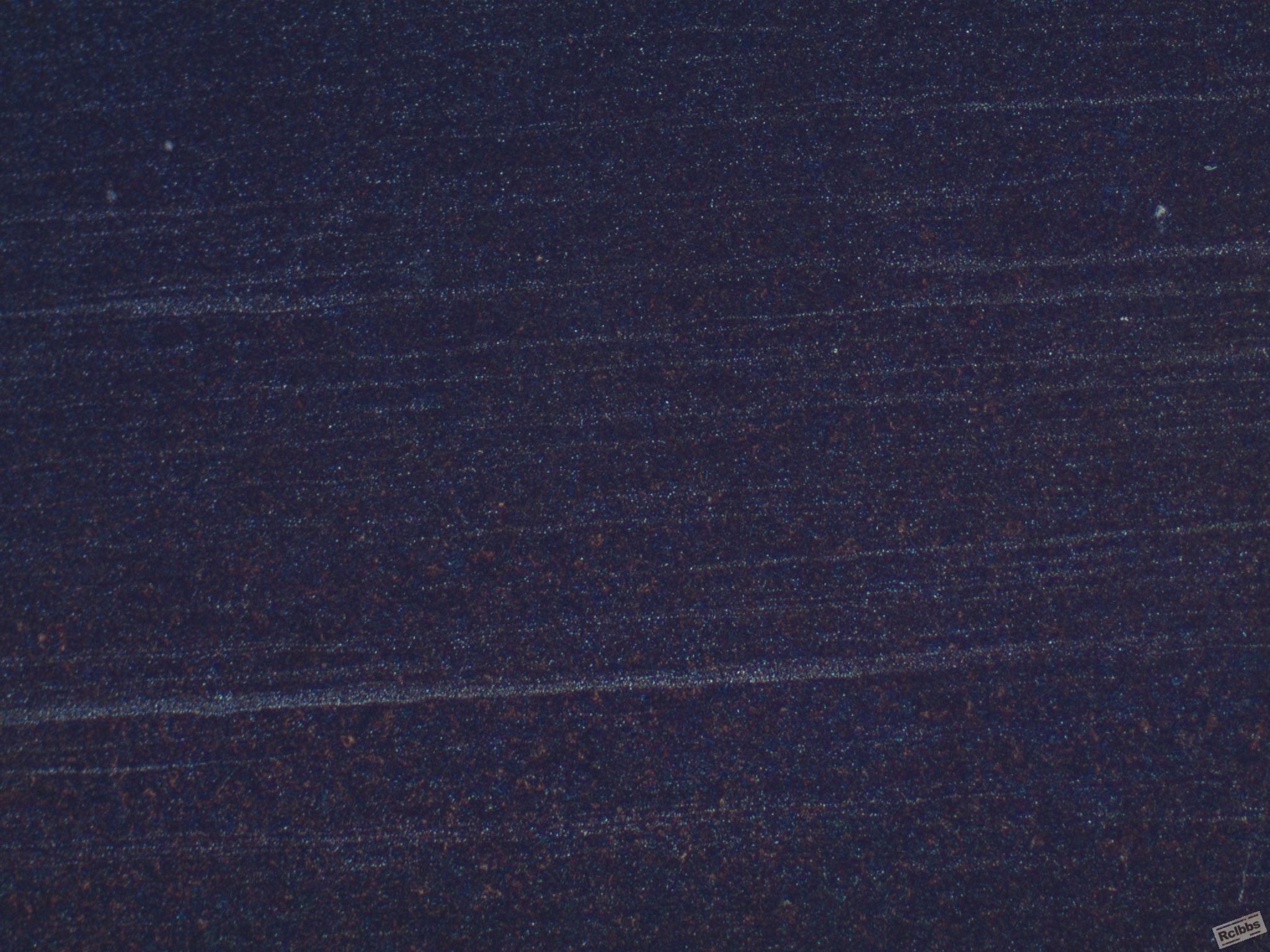 带状002.JPG