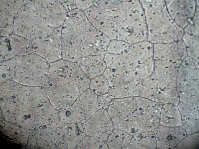 2010-5-26-9-52-14-109.jpg
