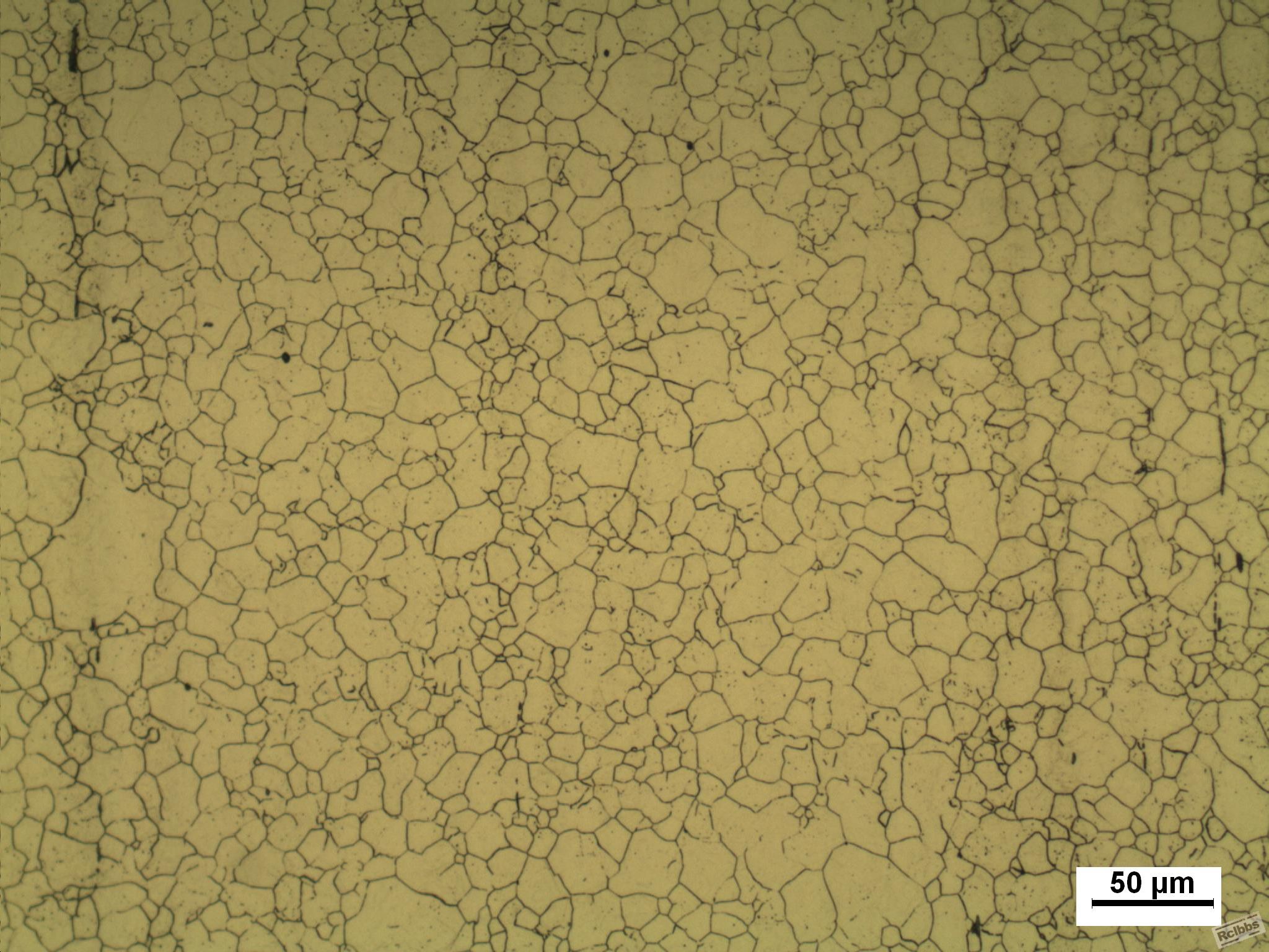 2010000033_grain size 200x.Jpg