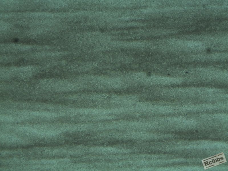 直径154mm616V100倍.JPG