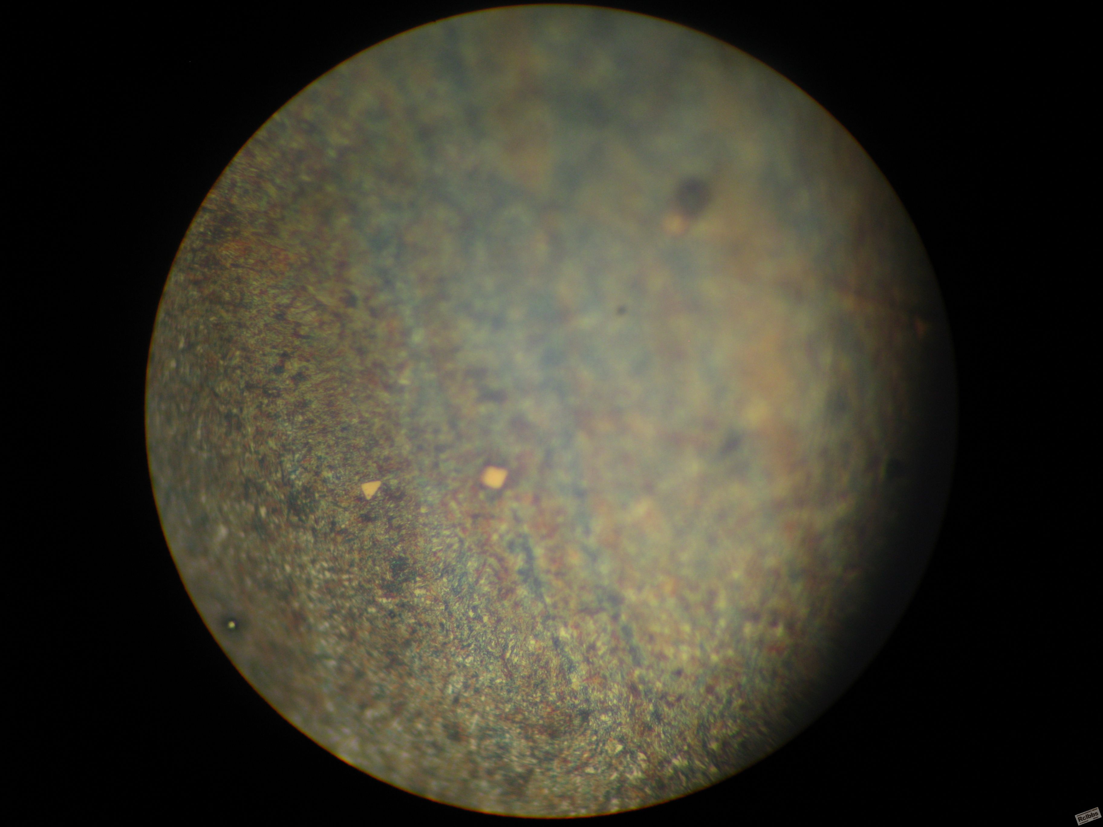 照片 004.jpg