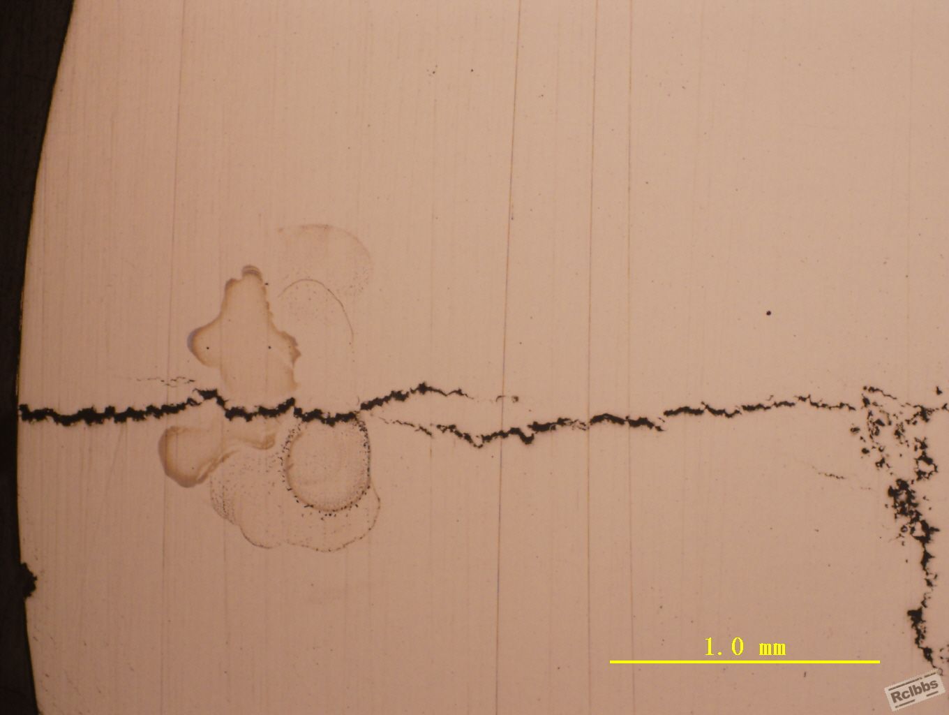 Image6.jpg