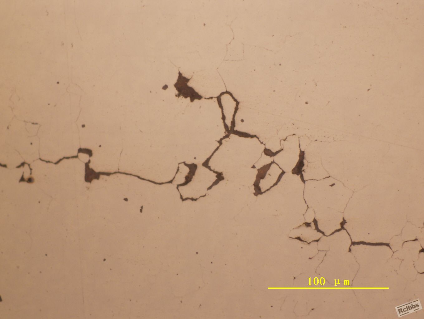 Image12.jpg