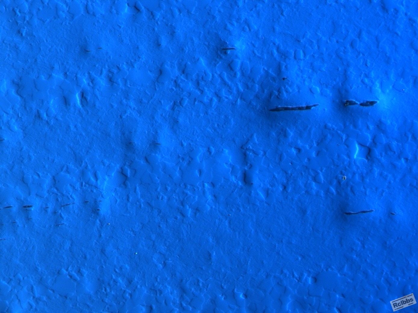 20100429-1074.jpg
