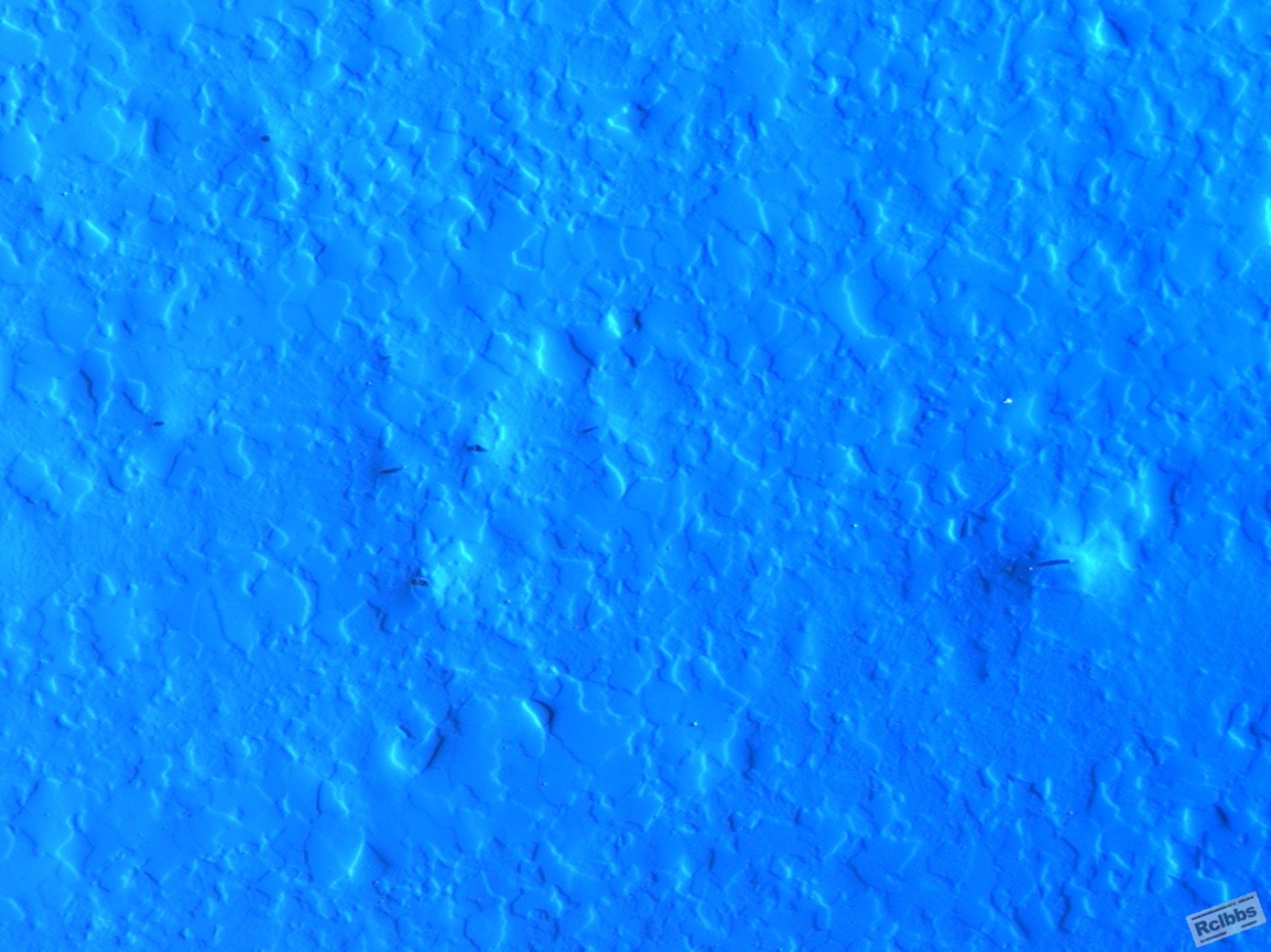 20100429-1073.jpg