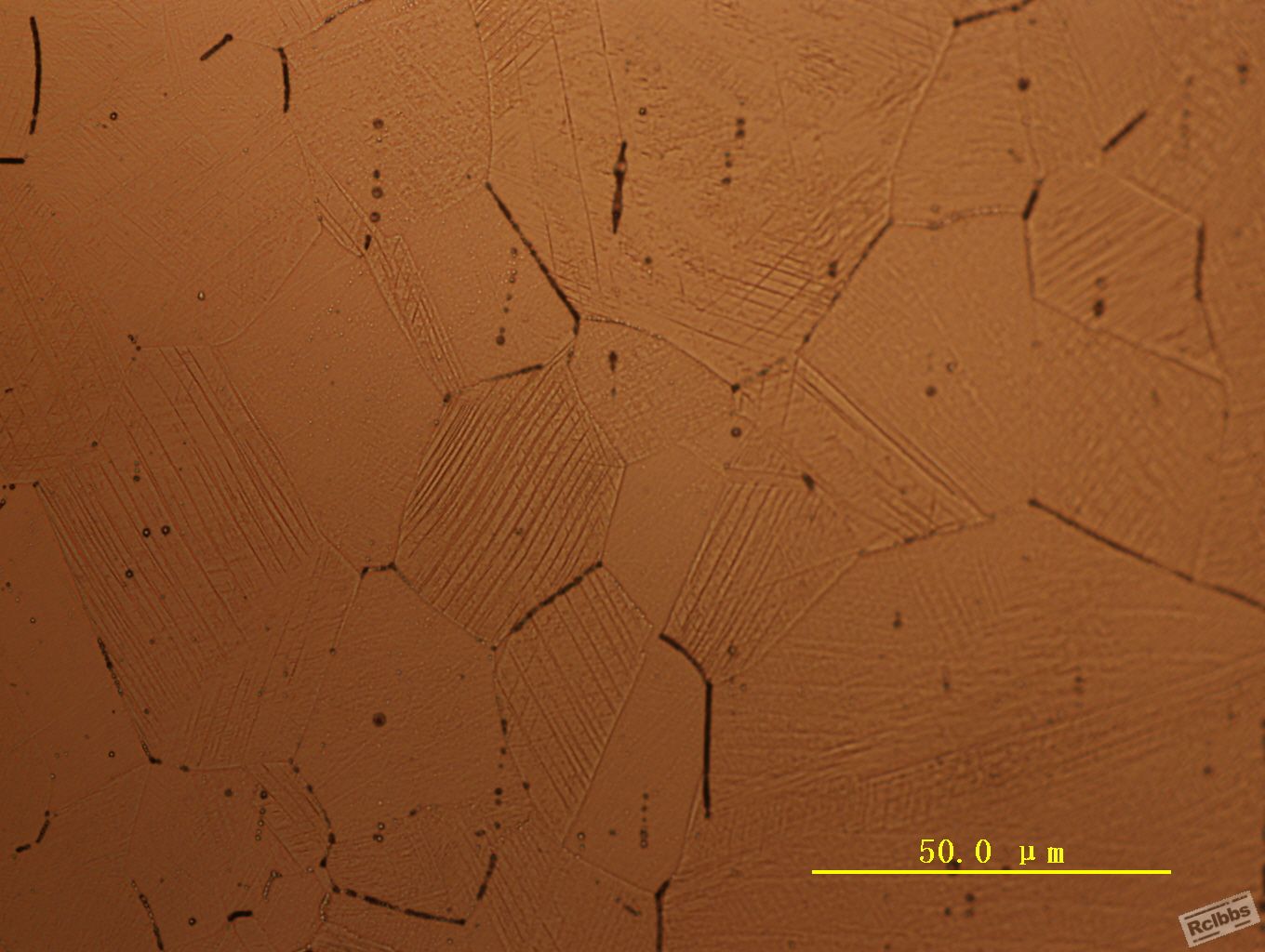 滑移 孪晶1.jpg