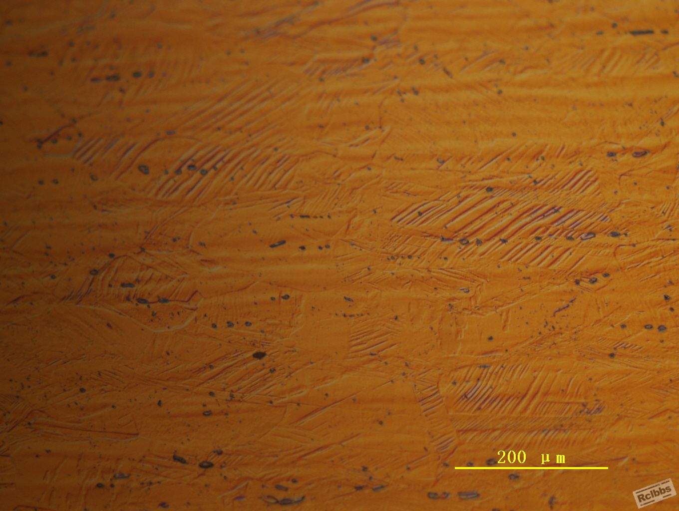 Image21.jpg