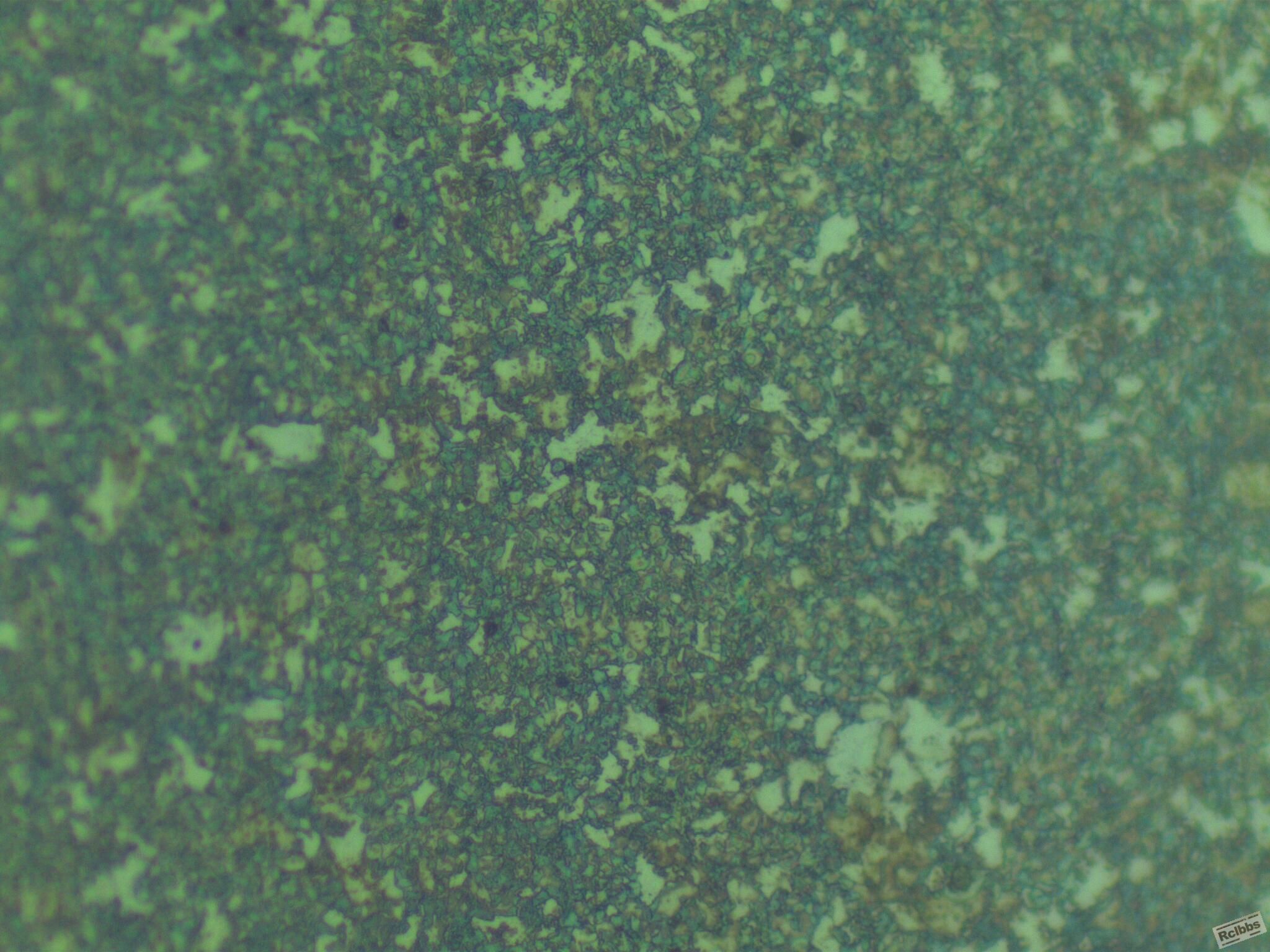 2-6008-500x-4.jpg