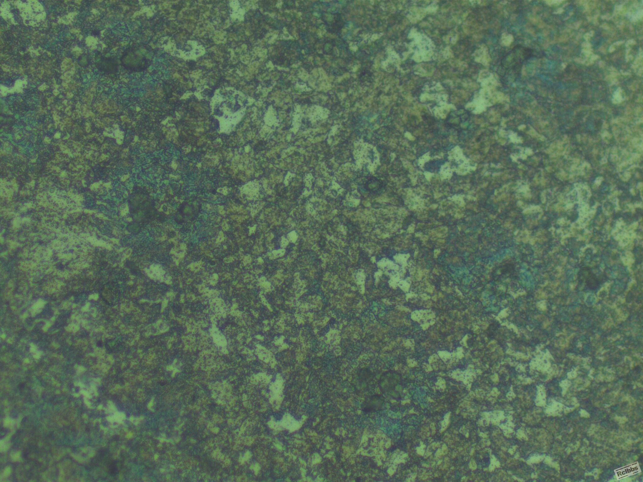 2-6032-500x-3.jpg