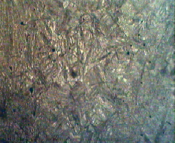 心部100X 2.jpg