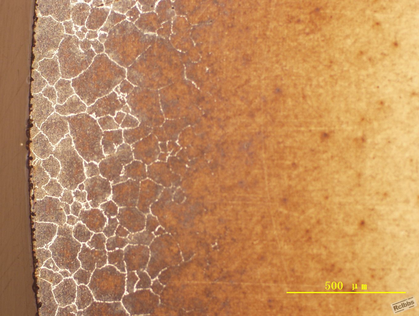 Image1.jpg