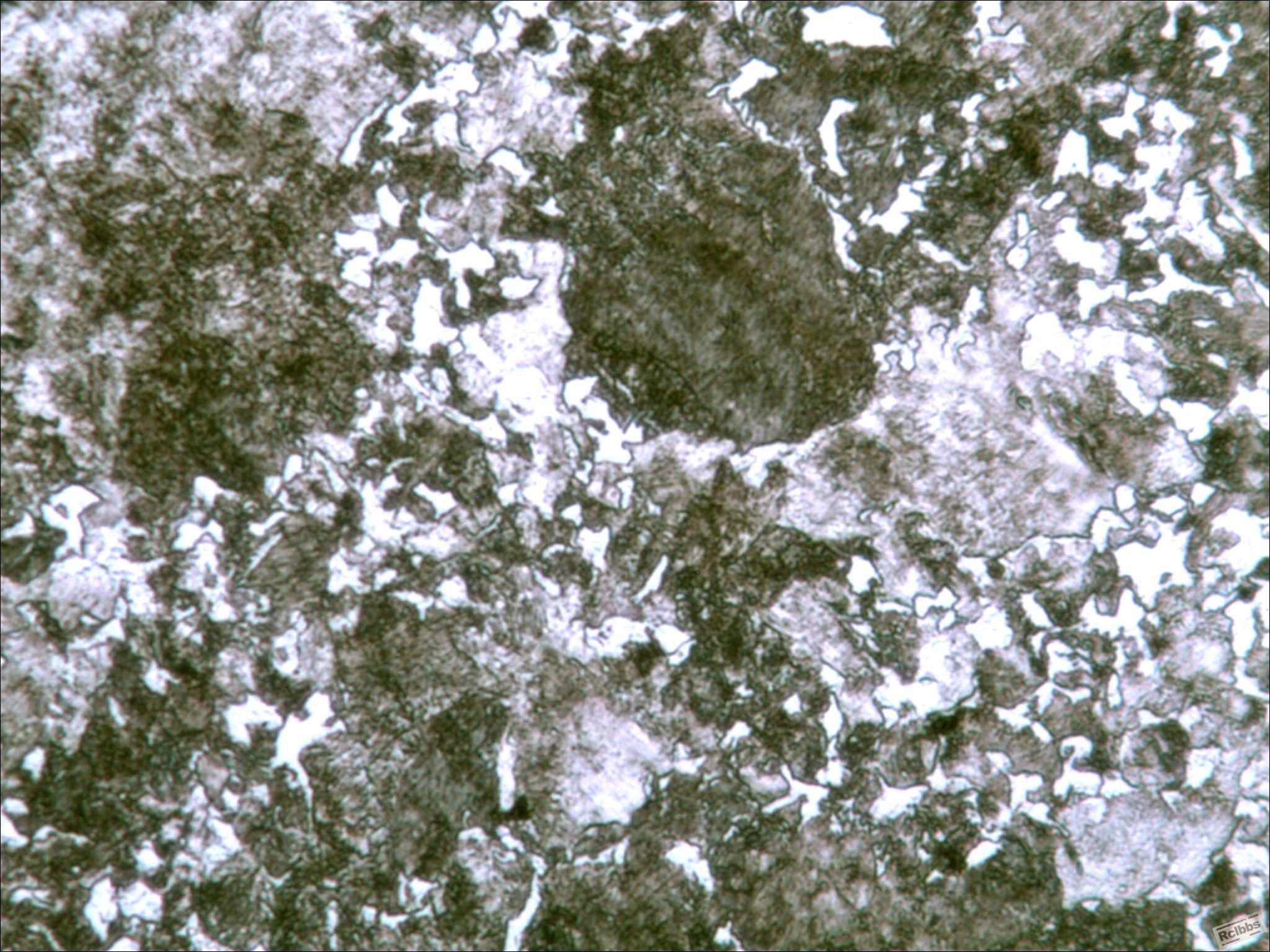 10-184 S48C  400X.jpg