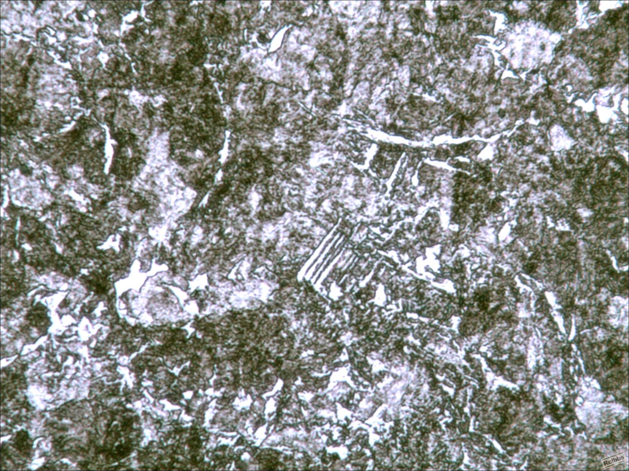 10-183  400X.jpg