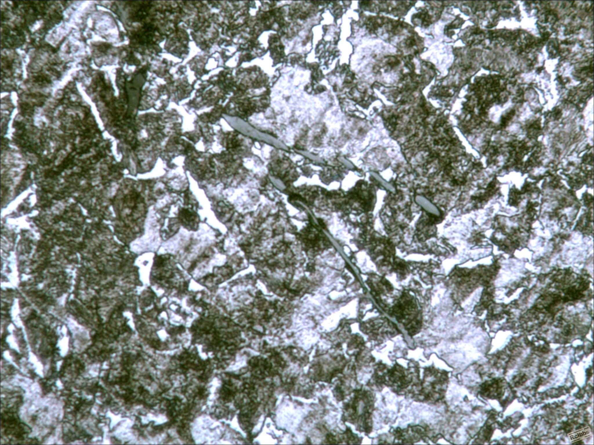 10-187  400X.jpg