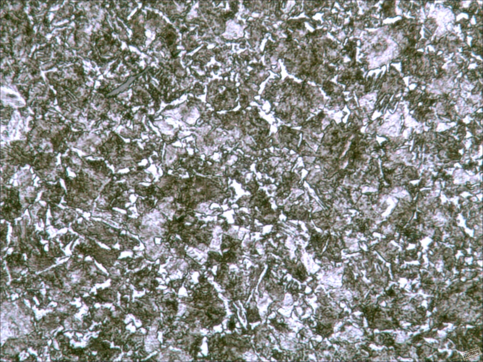 10-192 400X.jpg