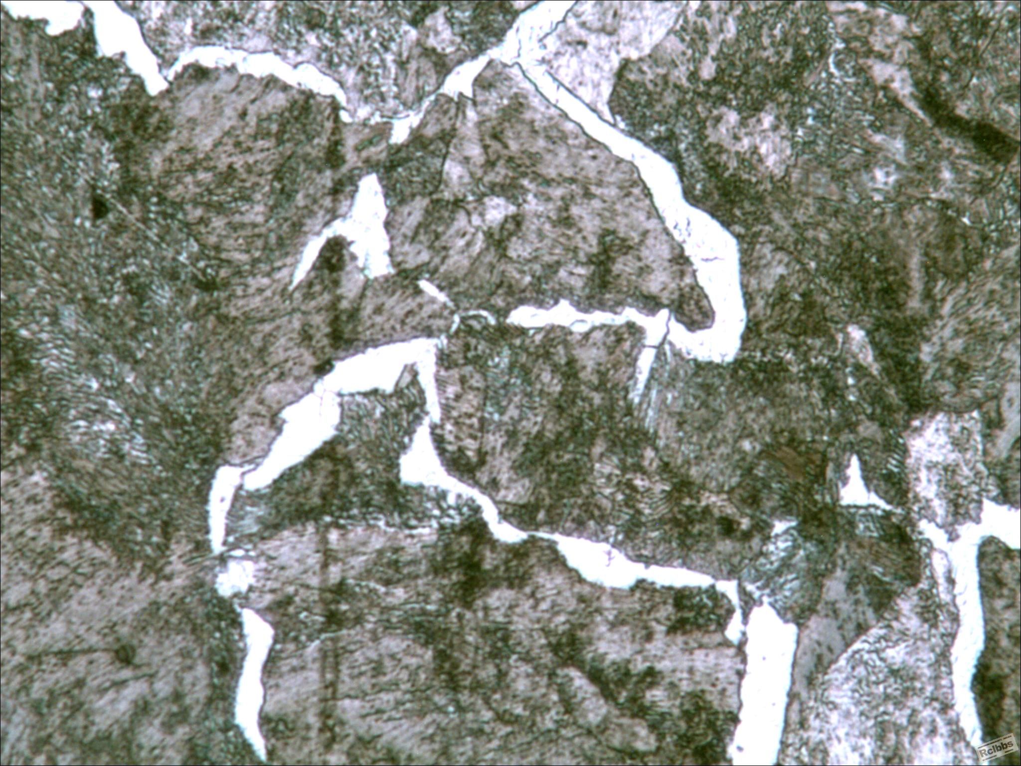 10-193 400X.jpg