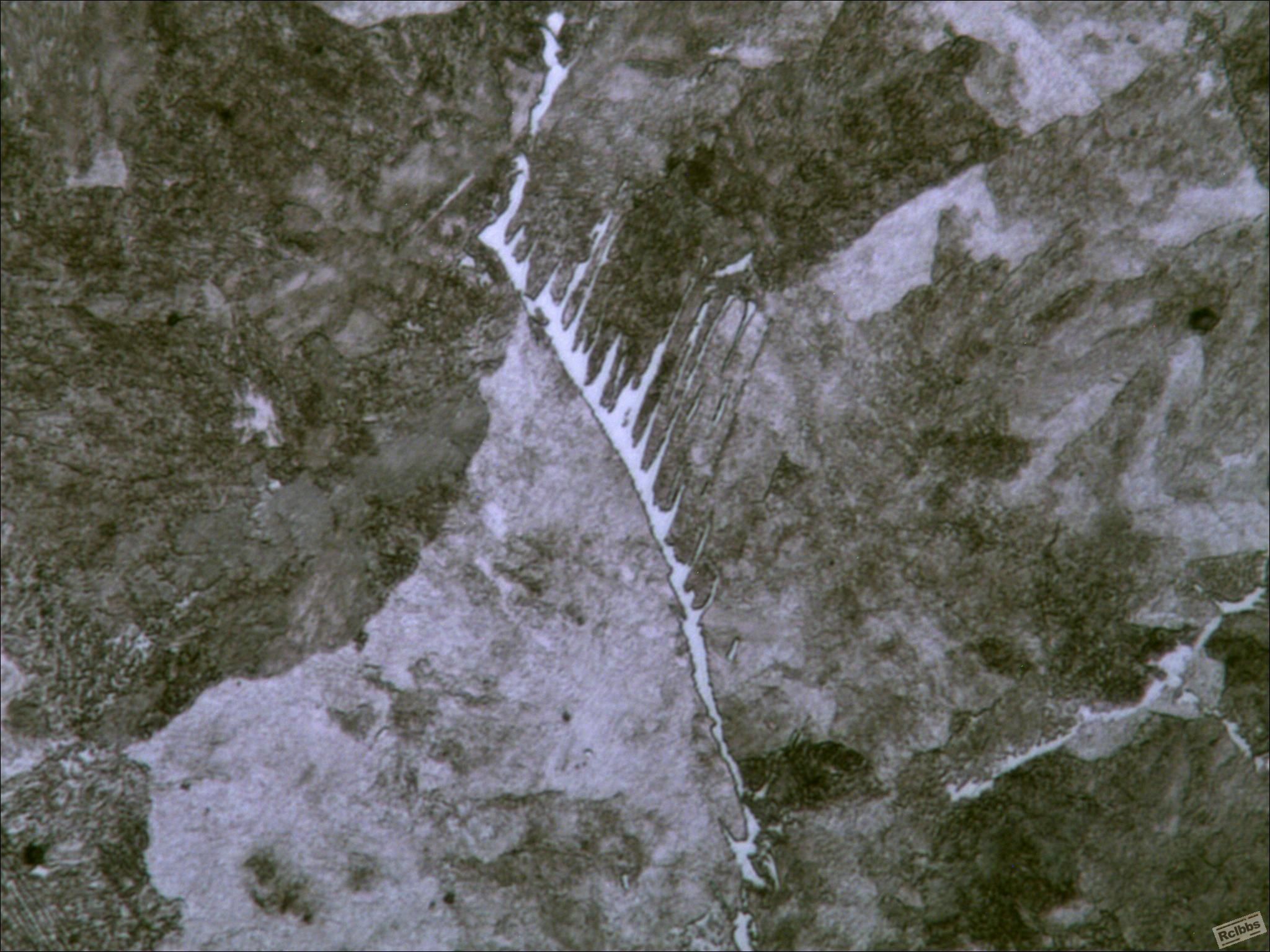 50Mn   400X.JPG