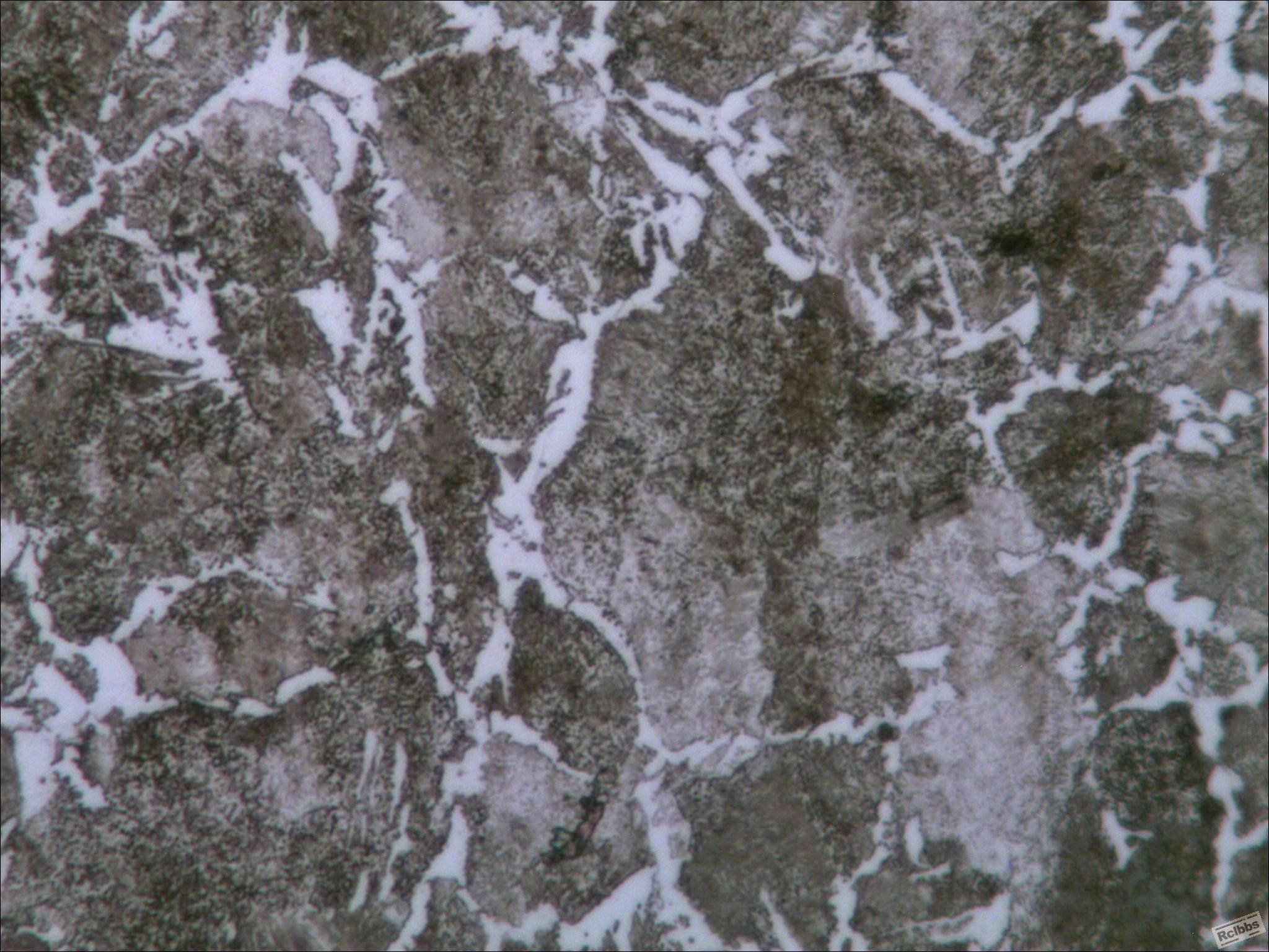 50Mn 400X.JPG