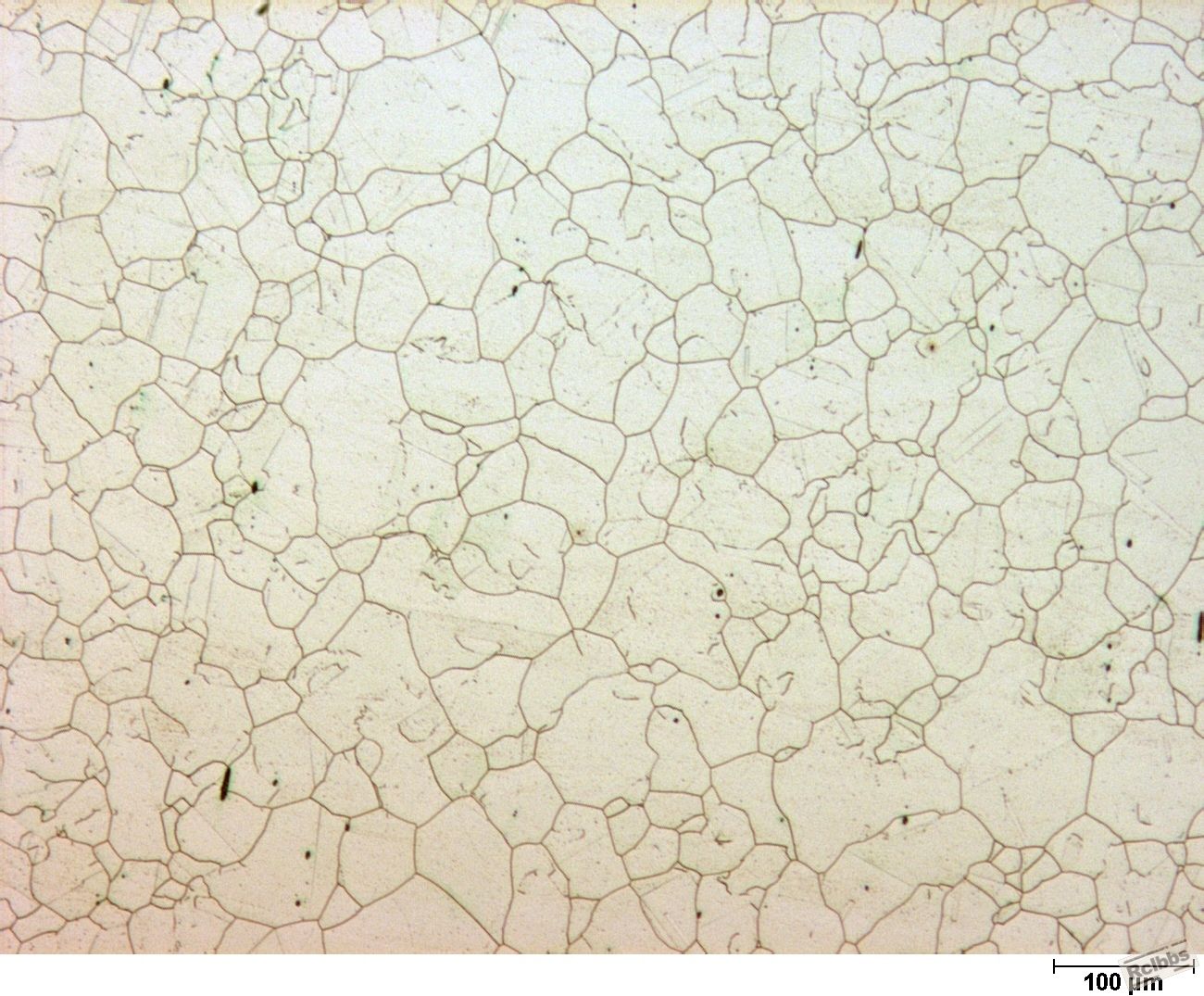 100X Forging Base Metal_60% HNO3 electrolytic.JPG
