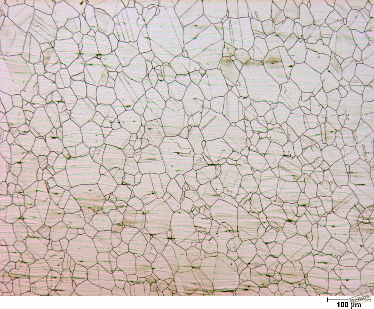 100X plate without delta ferrite_60% HNO3 electrolytic.JPG