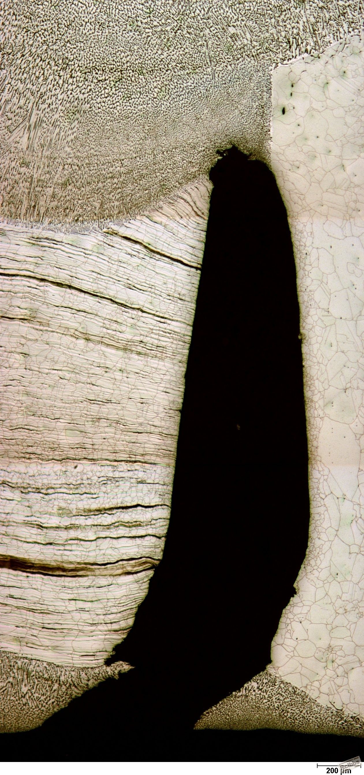 50X COLLAGE_60% HNO3 electrolytic.JPG