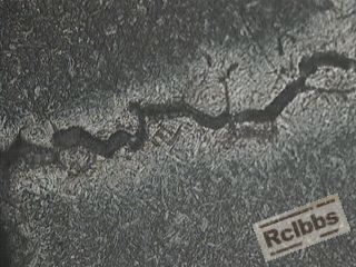 400X-5.JPG