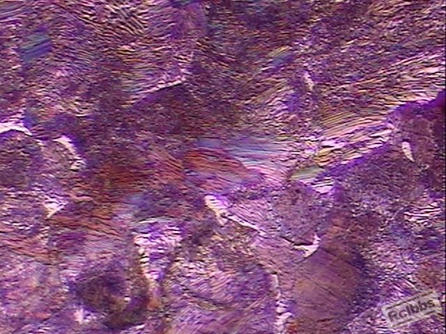 珠光体4.JPG